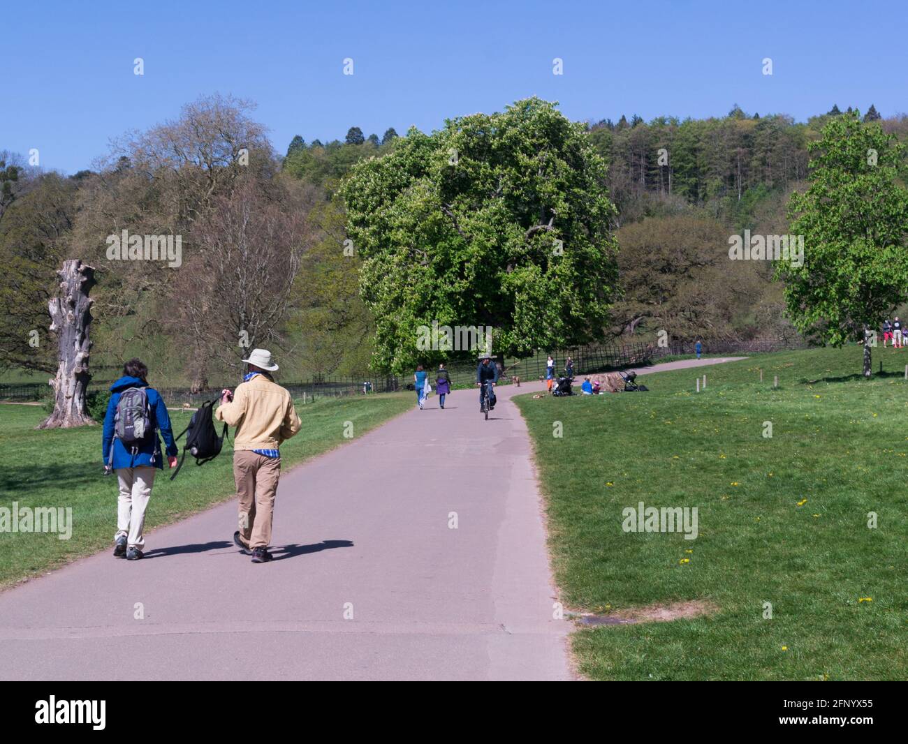 Long Ashton High Resolution Stock Photography and Images Alamy
