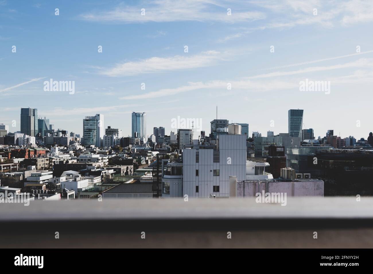 Tokyo, Japan - January 14, 2016: okyo, Japan, city panorama of Tokyo. The view of Omotesando Stock Photo
