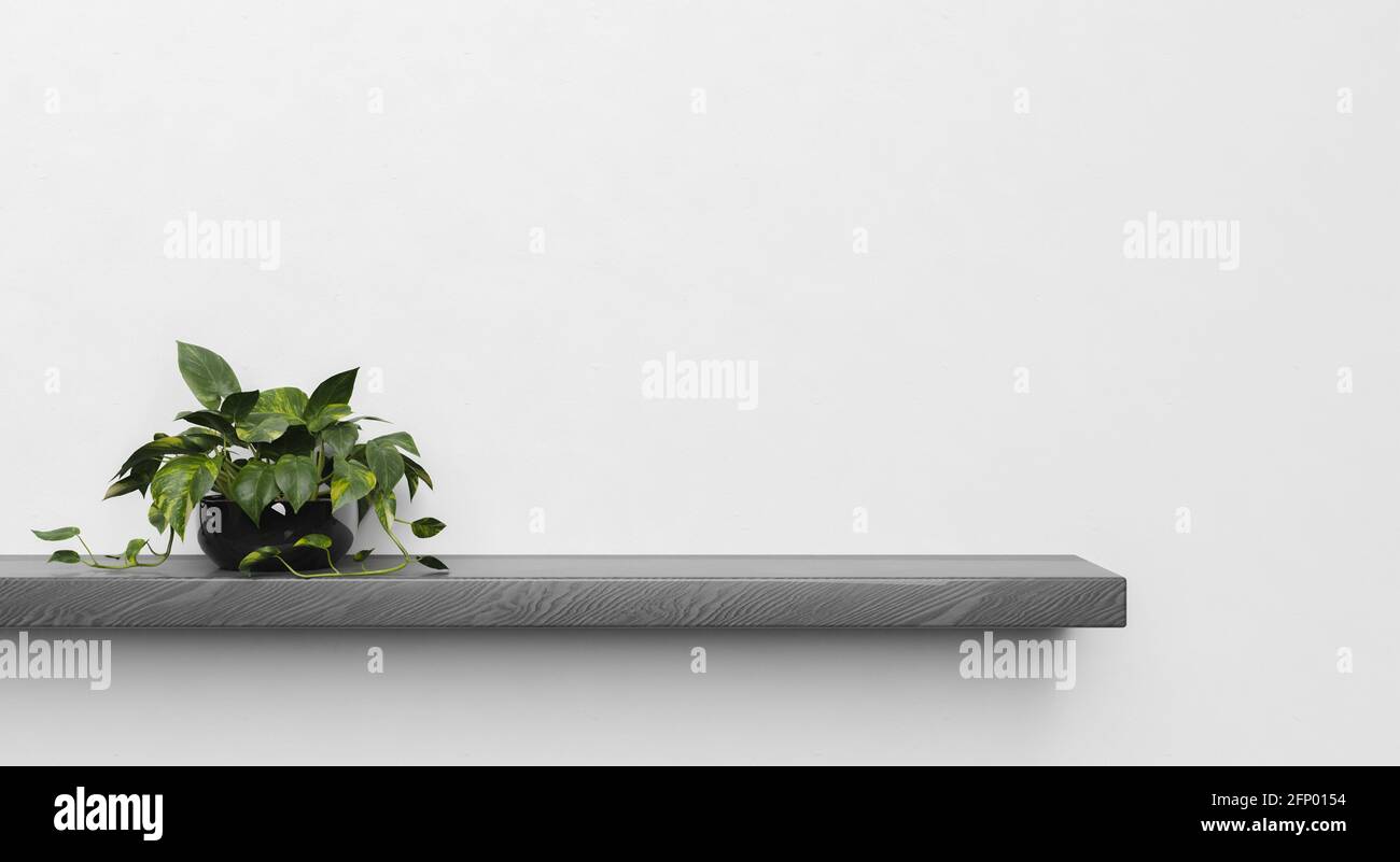 minimalist scene of a dark wooden shelf with a plant on one side. space for design. product stand. 3d render Stock Photo