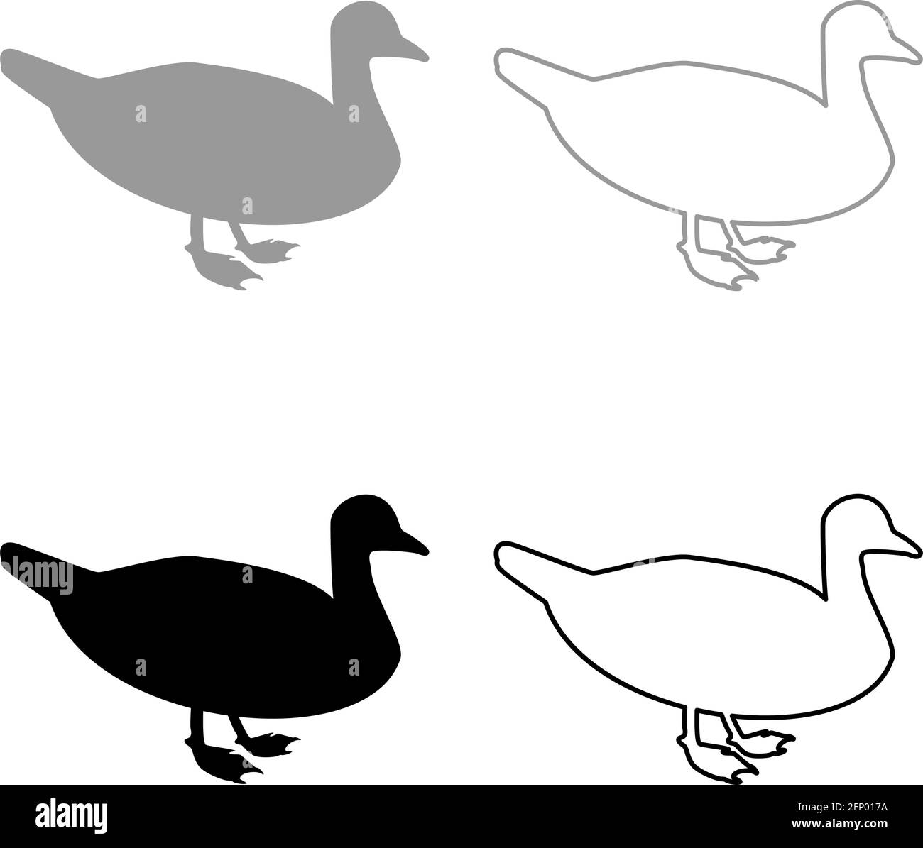 Duck Male mallard Bird Waterbird Waterfowl Poultry Fowl Canard silhouette grey black color vector illustration solid outline style simple image Stock Vector