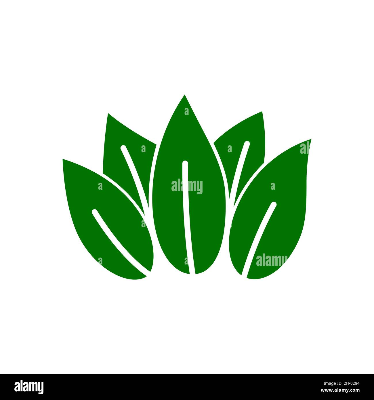 Eco leaves, logo, icon, template and design elements on white isolated ...