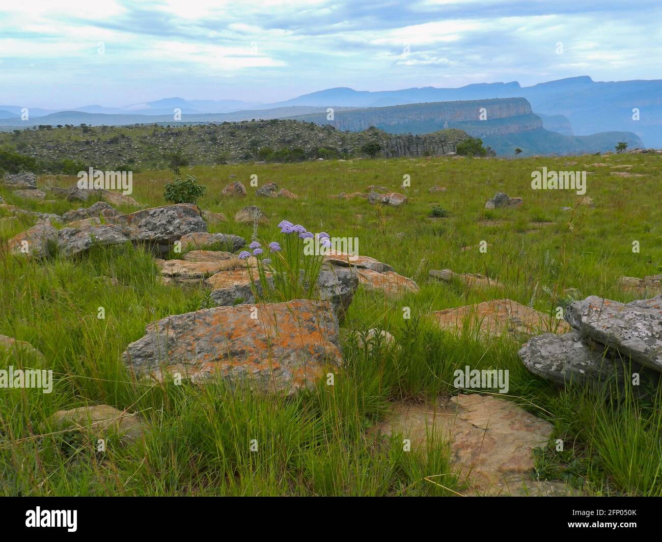 Pedi Rondeval Escarpment overlooking the Three Rondavels Stock Photo - Alamy