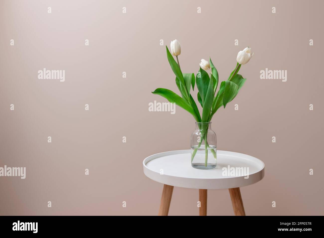 Spring white tulips in a glass vase standing on white coffee table on light beige background with copy space. Cozy home, elegant interior concept Stock Photo