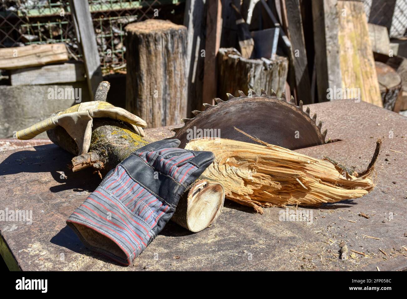 Kreissäge, Säge, Arbeitsplatte, Stahlplatte, Schutzhandschuh, drehen, Holz, Ast, Hand, Schutzhandschuh, Arbeitshandschuh, Handschuh, schneiden, trenne Stock Photo