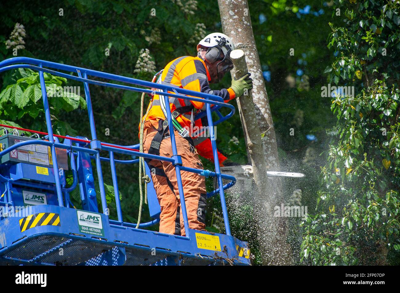 Aylesbury, Buckinghamshire, UK. 19th May, 2021. HS2 were felling