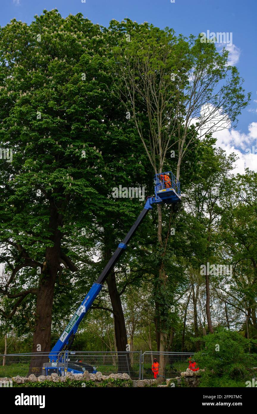 Aylesbury, Buckinghamshire, UK. 19th May, 2021. HS2 were felling