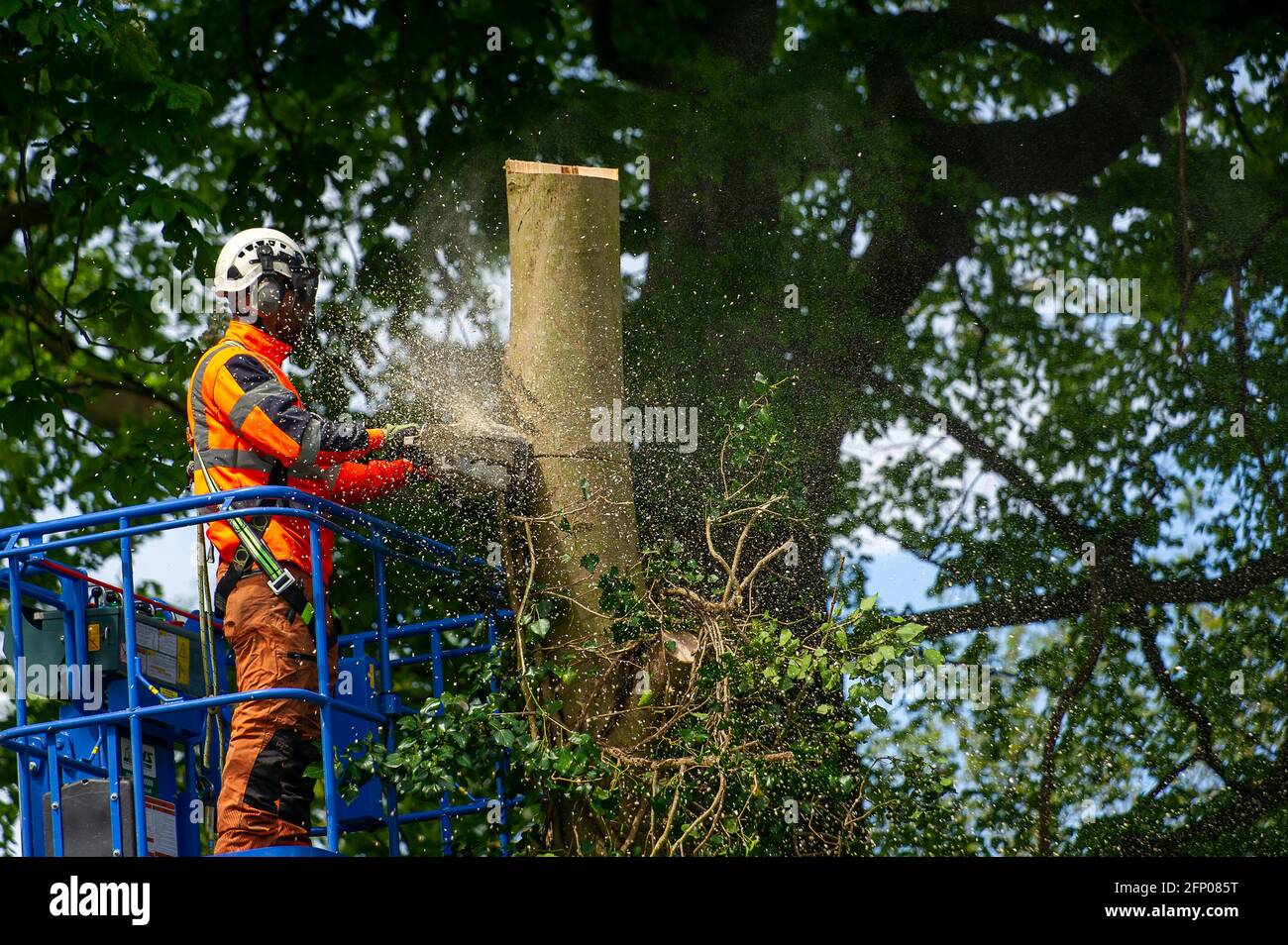 Aylesbury, Buckinghamshire, UK. 19th May, 2021. HS2 were felling