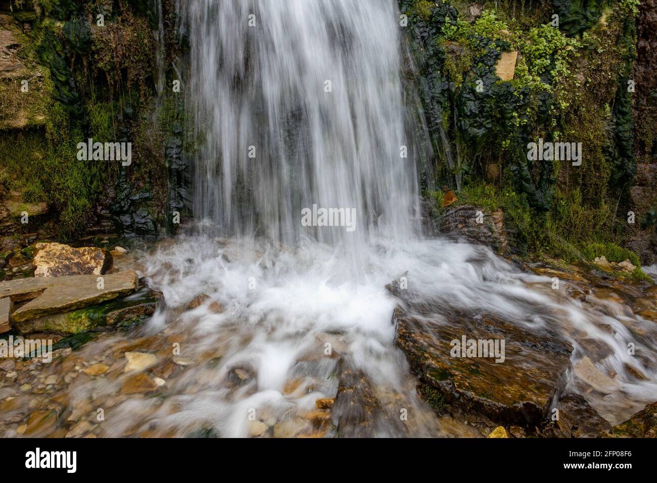 Millennial cold forest creek, river rapids with fast flow, long exposure Stock Photo