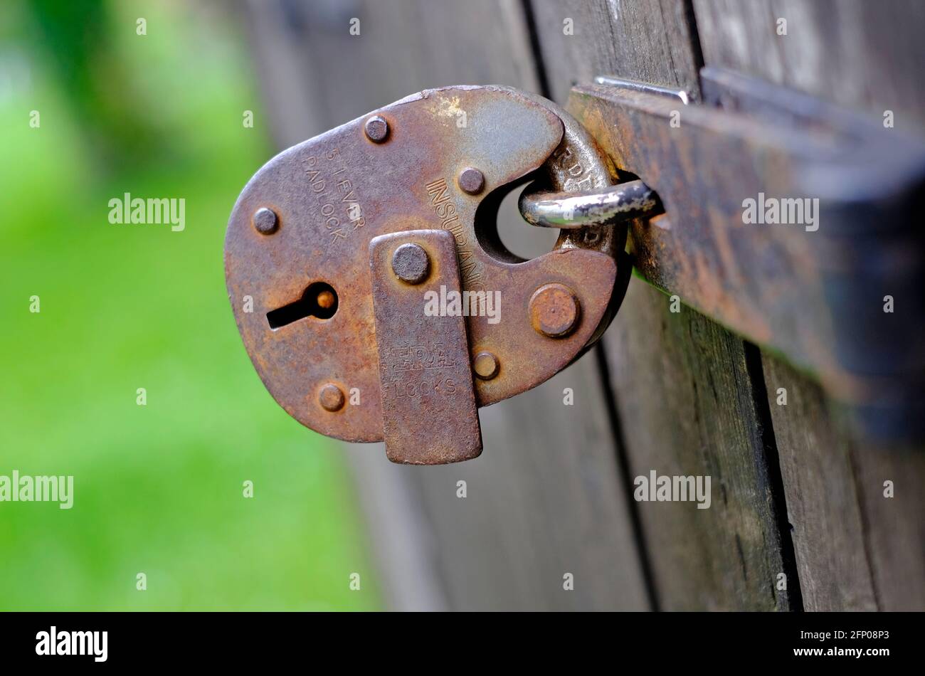 old rusty weathered padlock on shed door, norfolk, england Stock Photo