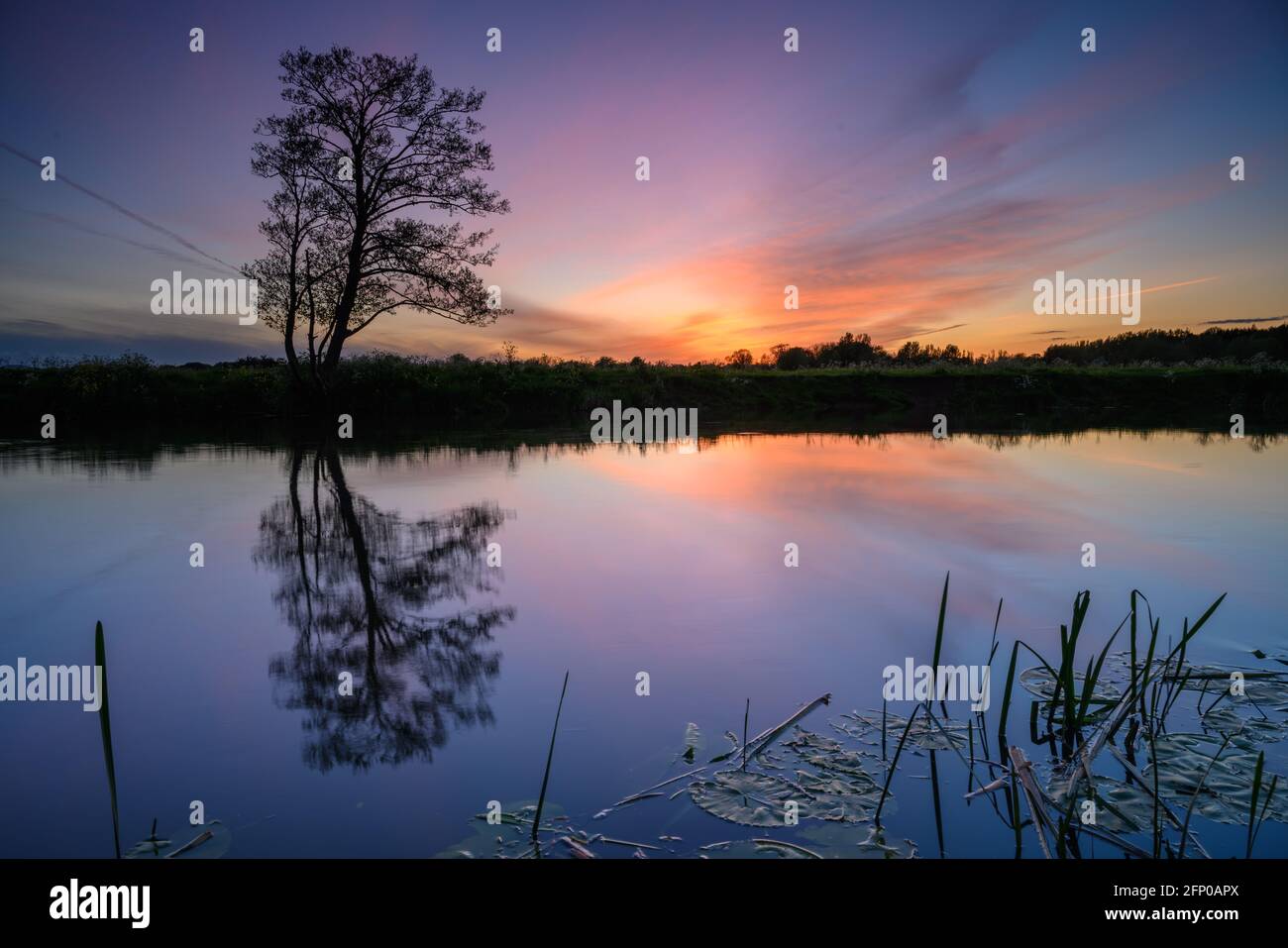 Sunset landscape with tree and river Stock Photo - Alamy