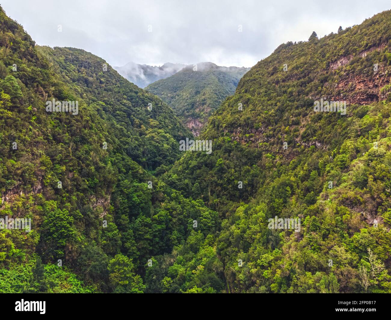 Drone view of forest and plant vegetation on La Palma island. Stock Photo