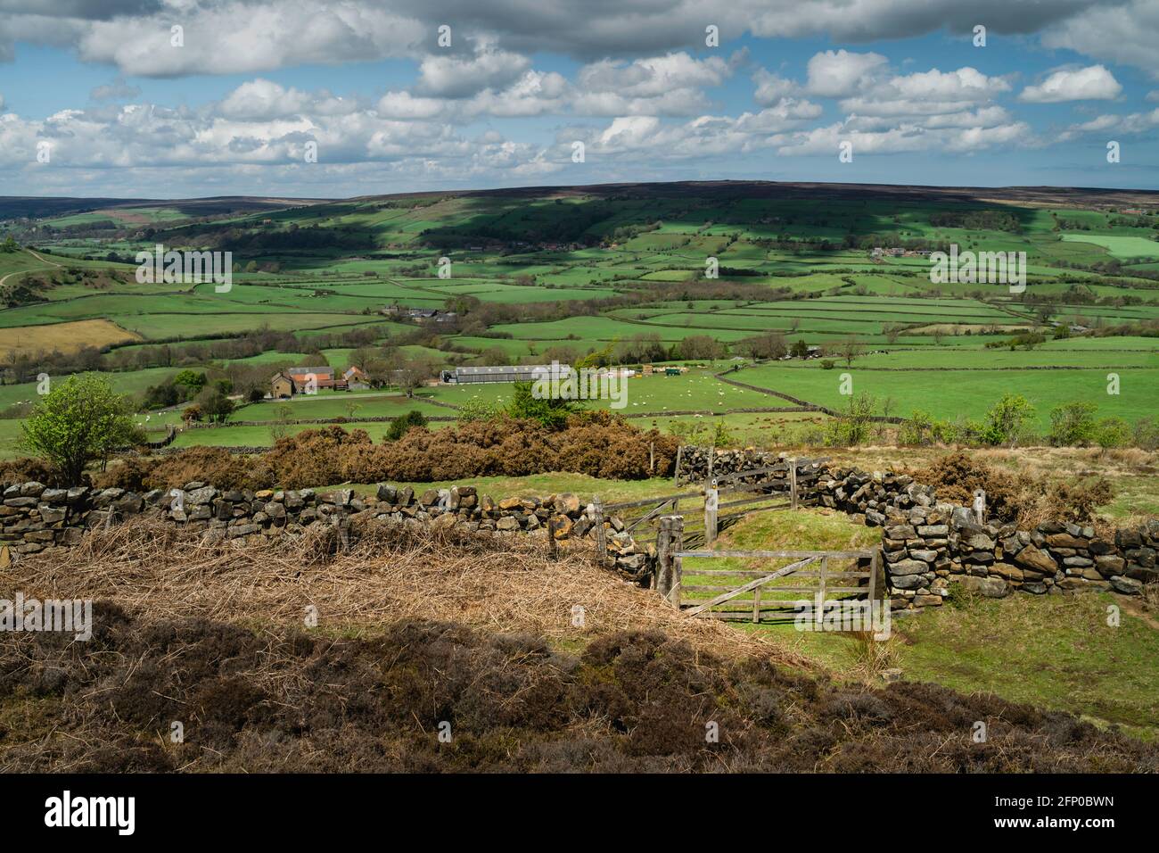 Gates and public footpath flanked by stone walls through the North York ...