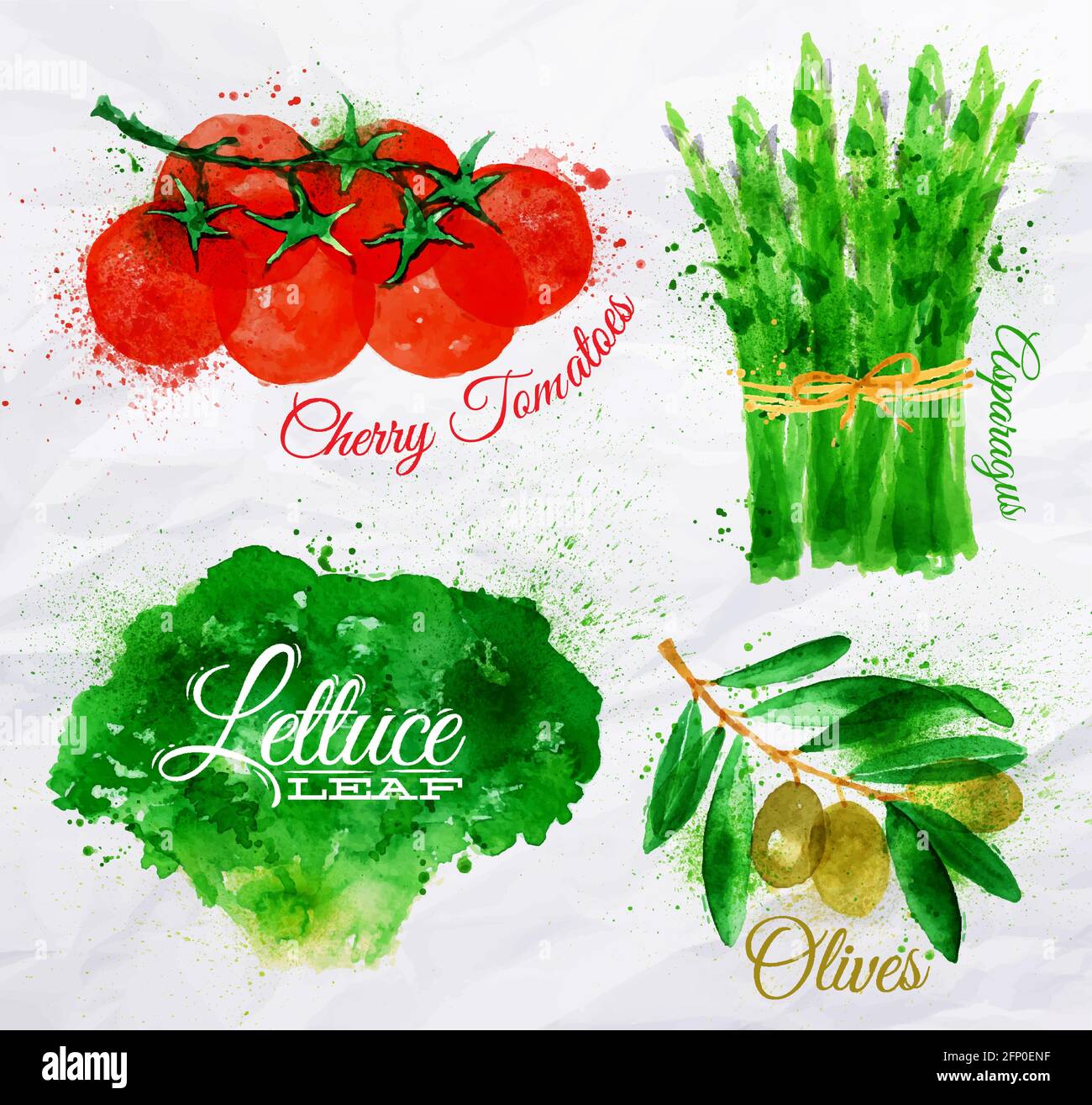 Vegetables set drawn watercolor blots and stains with a spray lettuce, cherry tomatoes, asparagus, olives Stock Vector