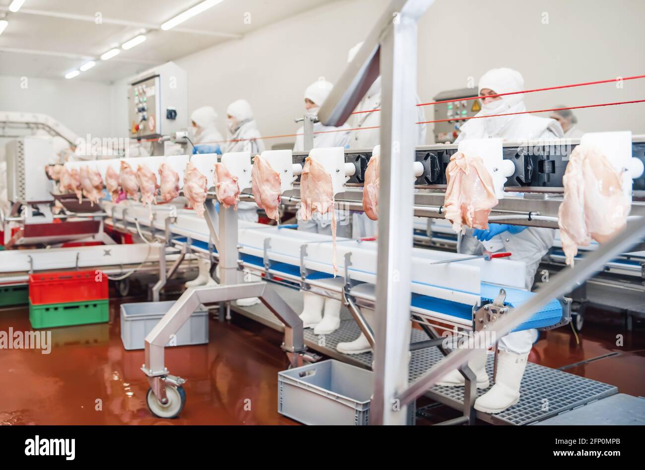 Automated production line in modern food factory.Factory for the ...