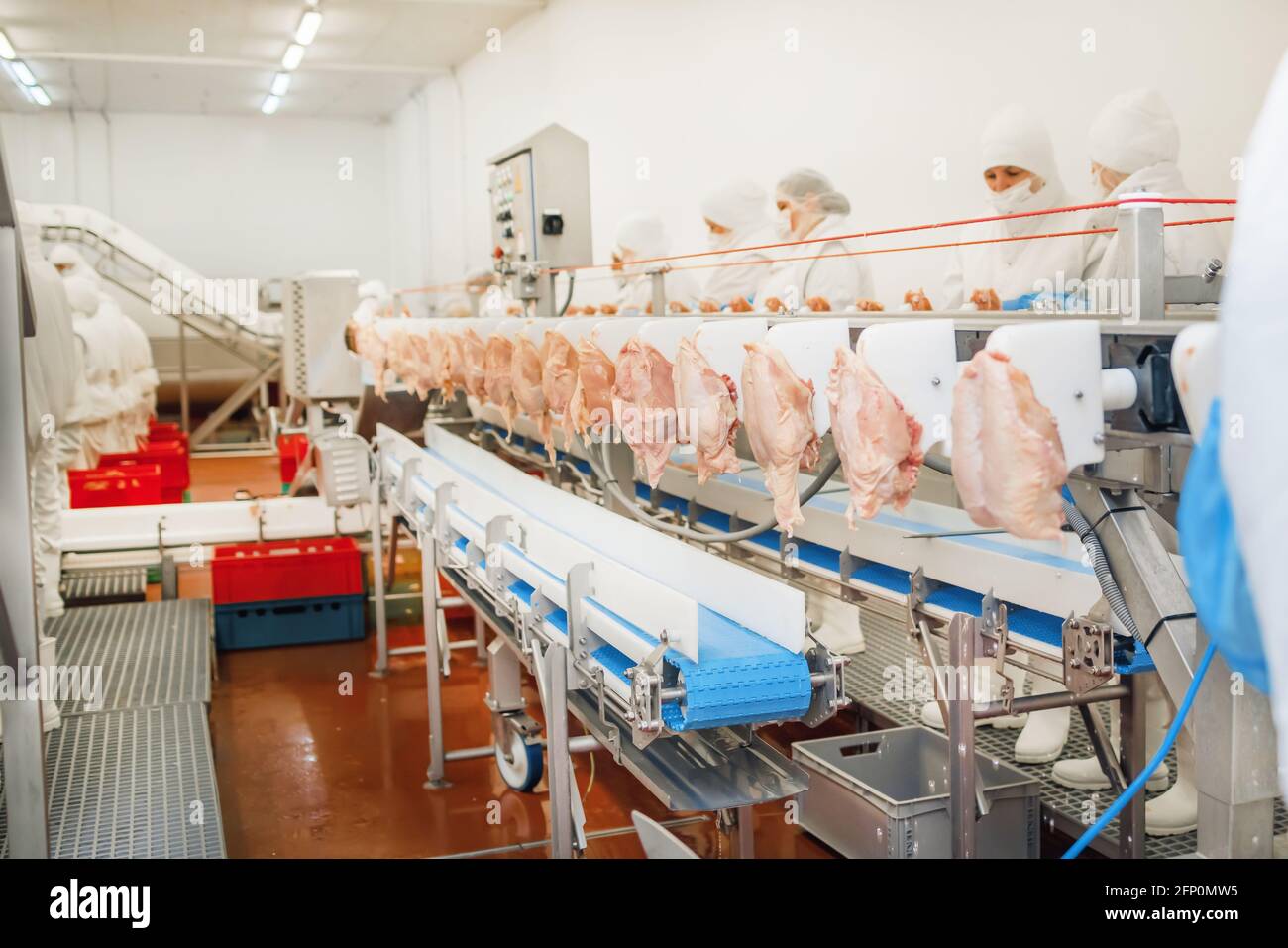 Automated production line in modern food factory.Factory for the ...