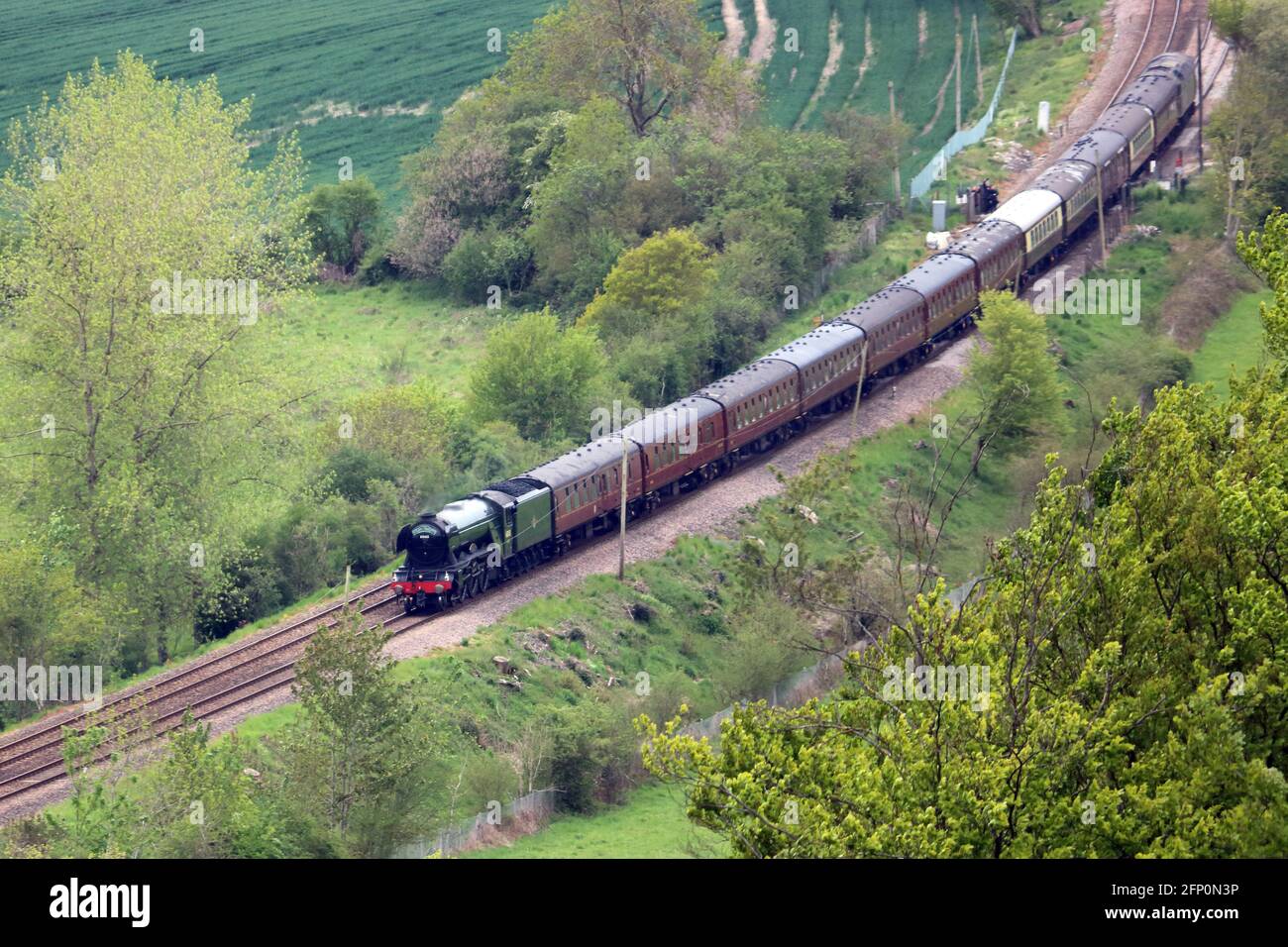 Dorking, Surrey, England, UK. 20th May, 2012. The Flying Scotsman locomotive steams through the leafy Surrey Hills near Dorking. The first outing of 2021 for this world famous steam train taking passengers on a round trip from London and into Surrey and back on a three hour journey on the Steam Dreams tour. Credit: Julia Gavin/Alamy Live News Stock Photo