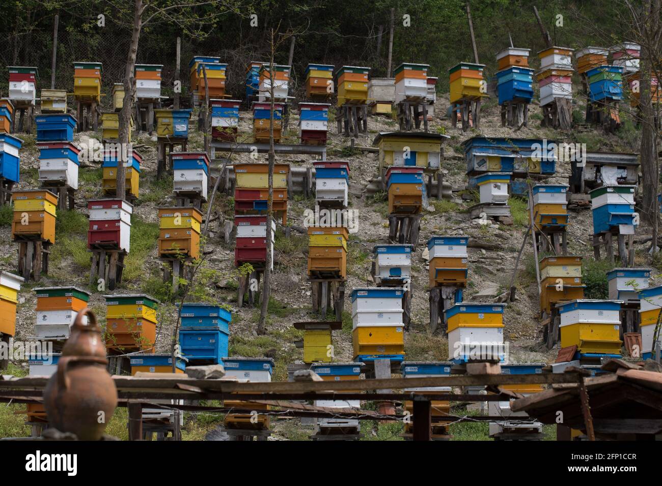 Large apiary in an ecologically clean environment in nature with a villa Stock Photo