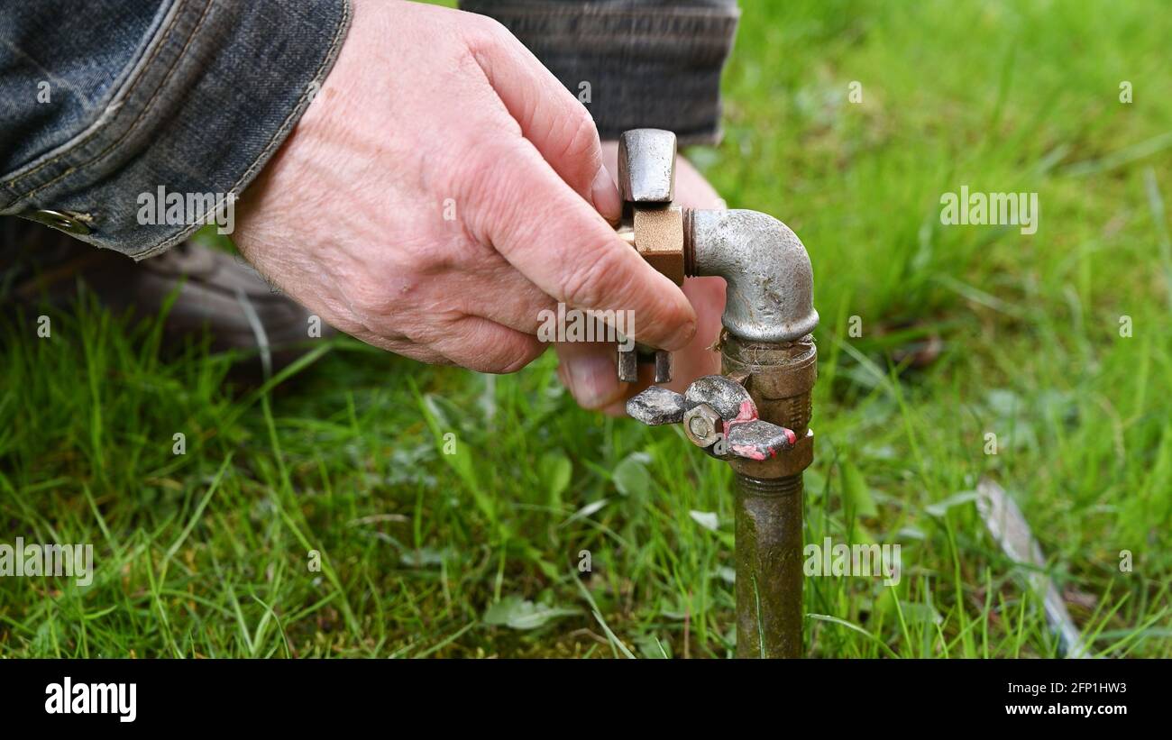 Man Fixing Garden Water Pipe. Stock Photo