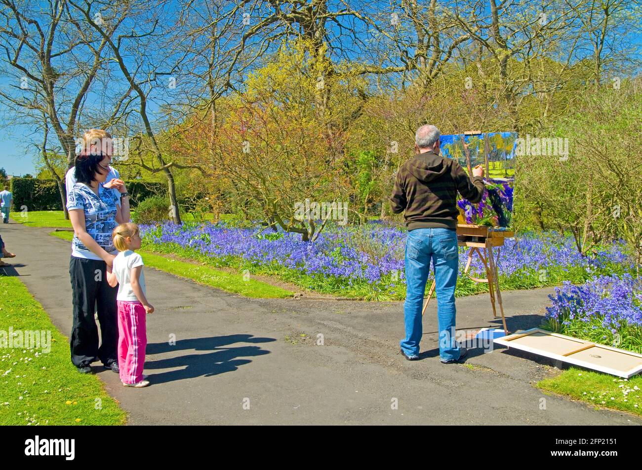 An artist painting a profusion of bluebells at the National Botanic Gardens, Glasnevin, Dublin, Ireland in early May Stock Photo