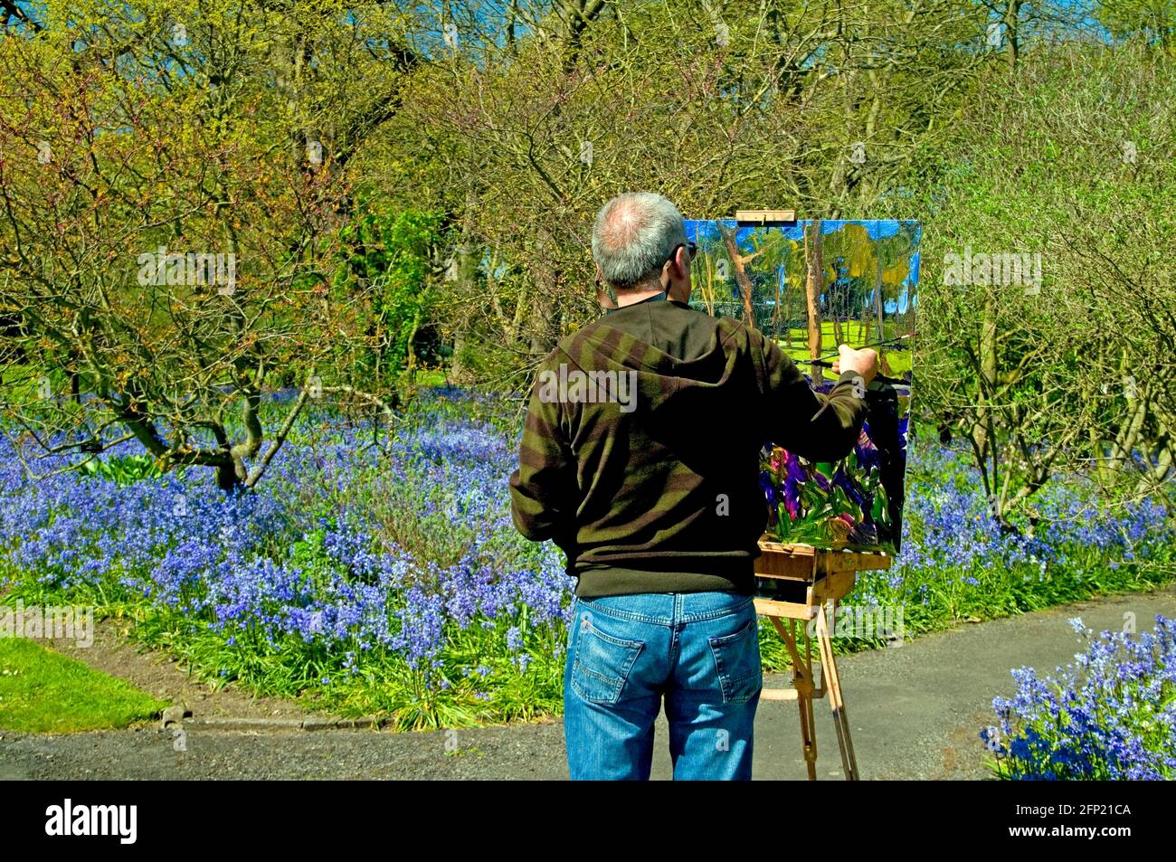 An artist painting a profusion of bluebells at the National Botanic Gardens, Glasnevin, Dublin, Ireland in early May Stock Photo