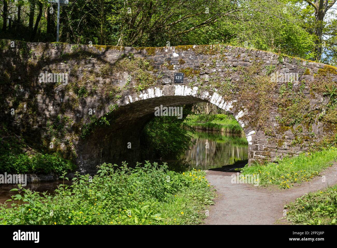 Stone bridge along the Monmouthshire and Brecon Canal,  Powys. Stock Photo