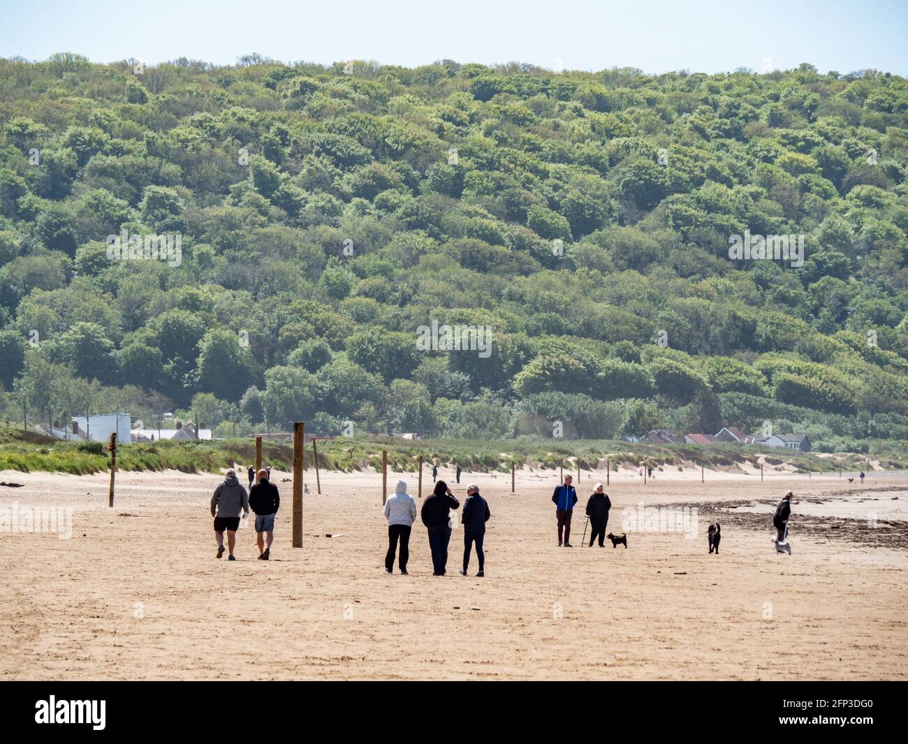 People enjoying a walk along the beach at Sand Bay, near Weston-super-Mare, with Weston Woods on Worlebury Hill in the background. Stock Photo