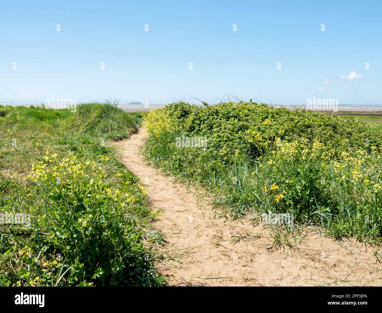 A path leads between the dunes at Sand Bay, near Weston-super-Mare, in North Somerset Stock Photo