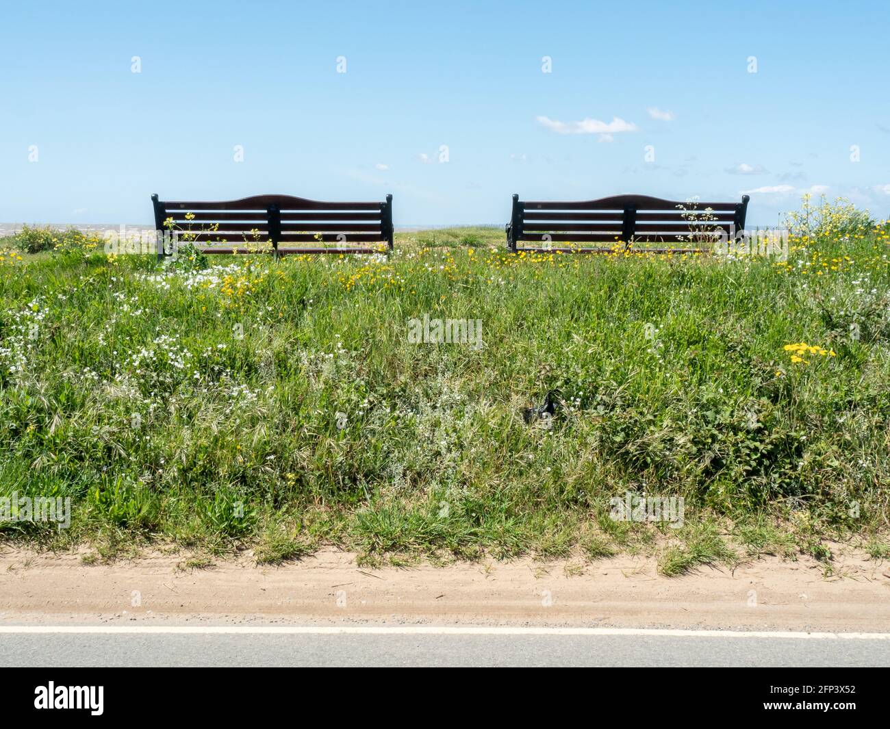 A pair of wooden benches, surrounded by beach grass, looking out across Sand Bay, near Weston-super-Mare, in North Somerset. Stock Photo
