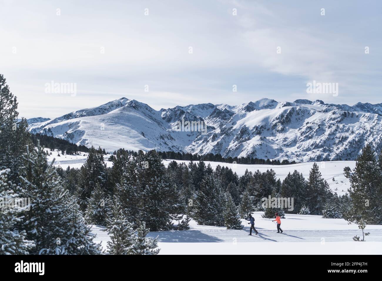 A couple is skiing through a snowy landscape Stock Photo