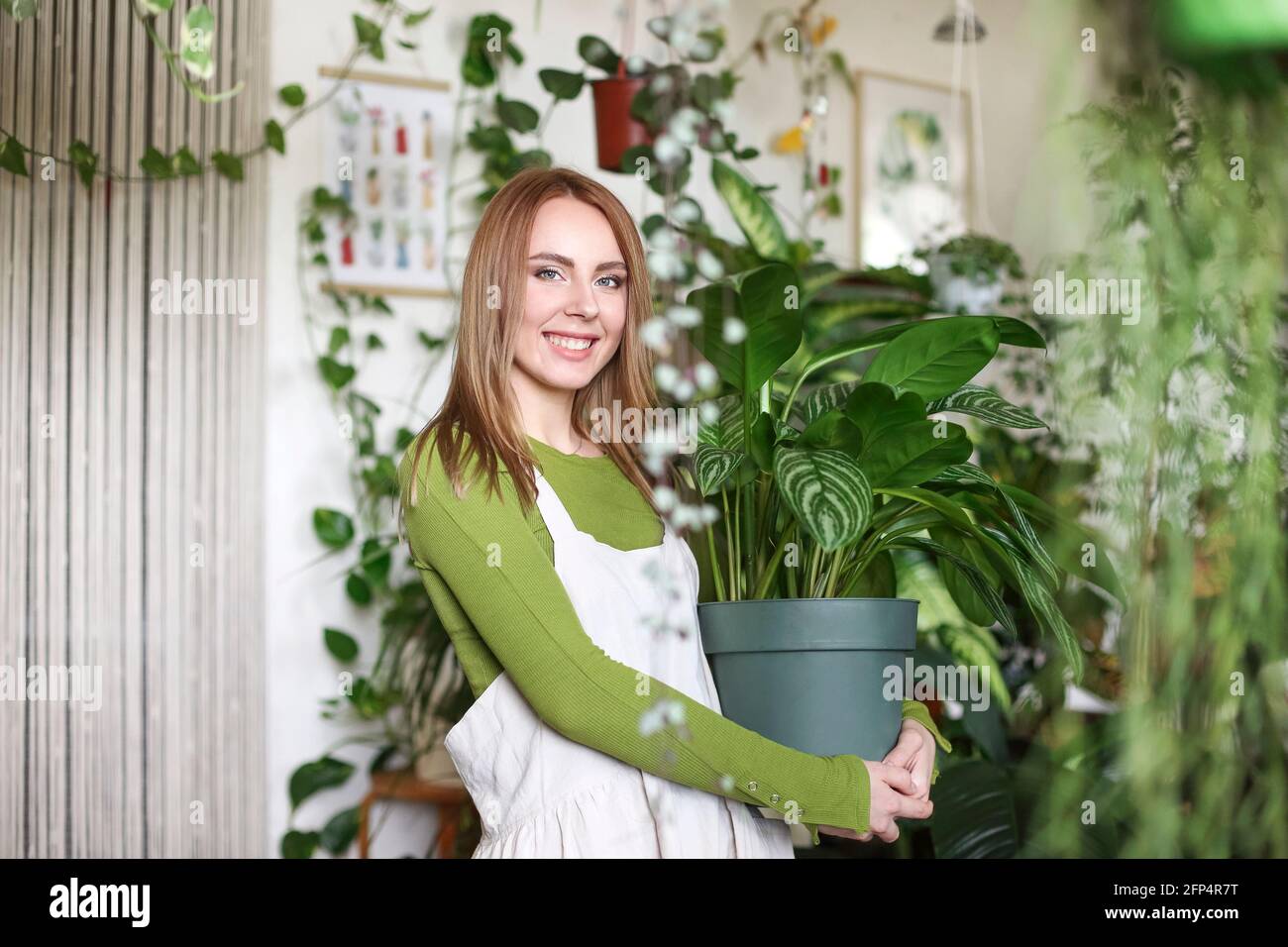 Content woman in white apron carrying pot with green plant while looking at camera working in shop Stock Photo