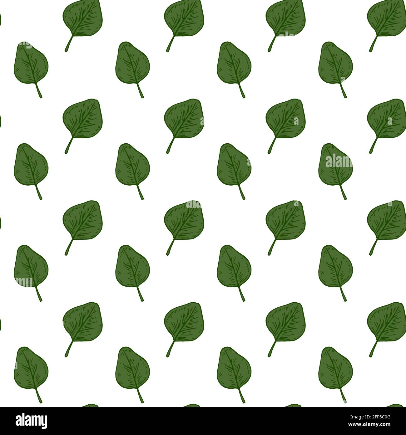Hand drawn seamless pattern with green eucalyptus leaves isolated on white background. Vector illustration in sketch style Stock Vector