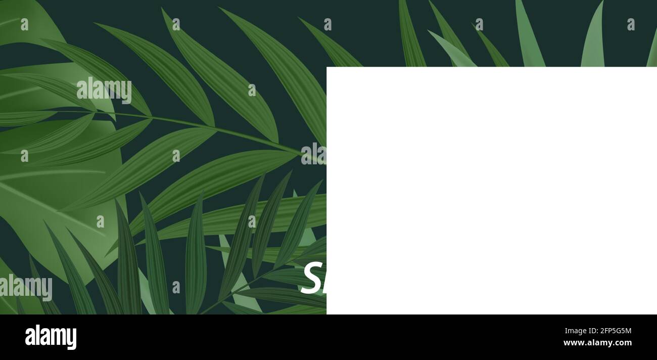 Summer sale poster. Natural Background with Tropical Palm Leaves ...