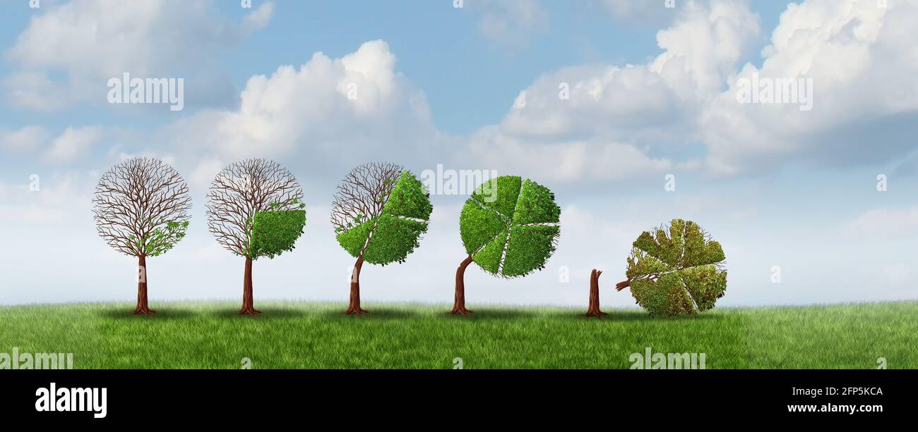 Business growth risk and financial strain problems with a fast growing economic cycle as a tree shaped as a business chart breaking. Stock Photo