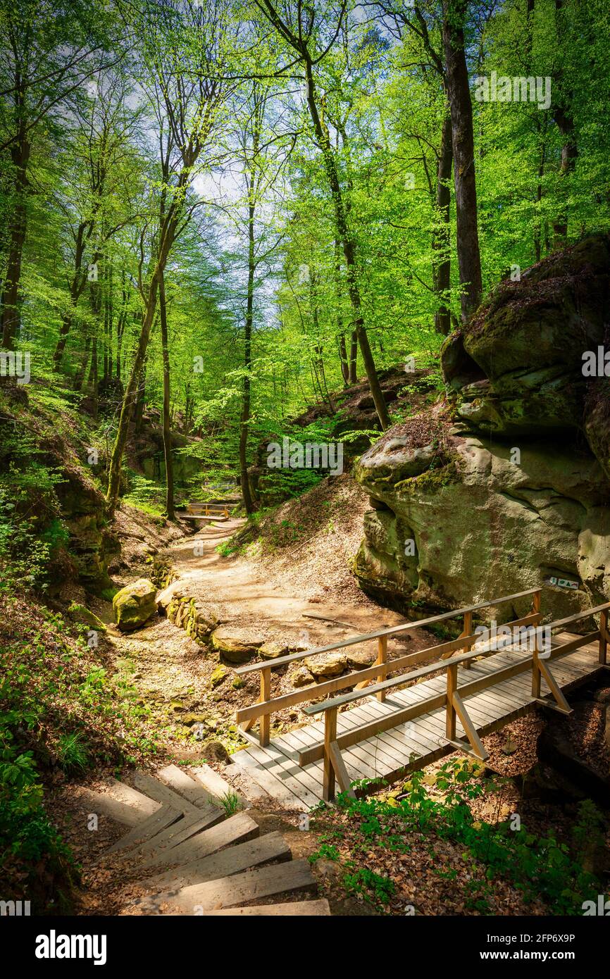 Beautiful mullerthal hiking trail in Berdorf, Luxembourg, Europe Stock Photo
