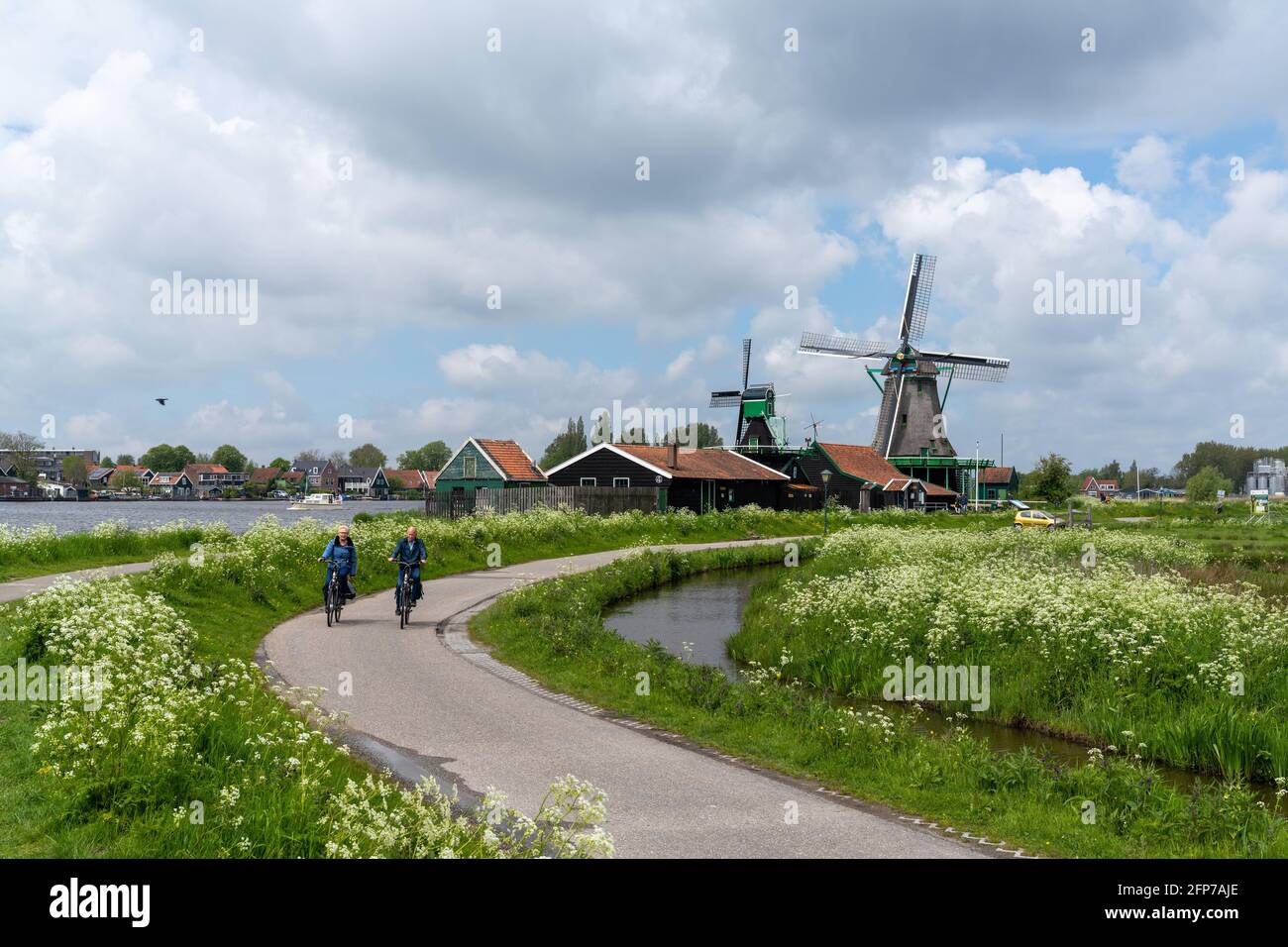 Zaandam, Netherlands - 18 May, 2021: Dutch senior citizens enjoy a bicycle ride along the canals of North Holland with traditional windmills in the ba Stock Photo