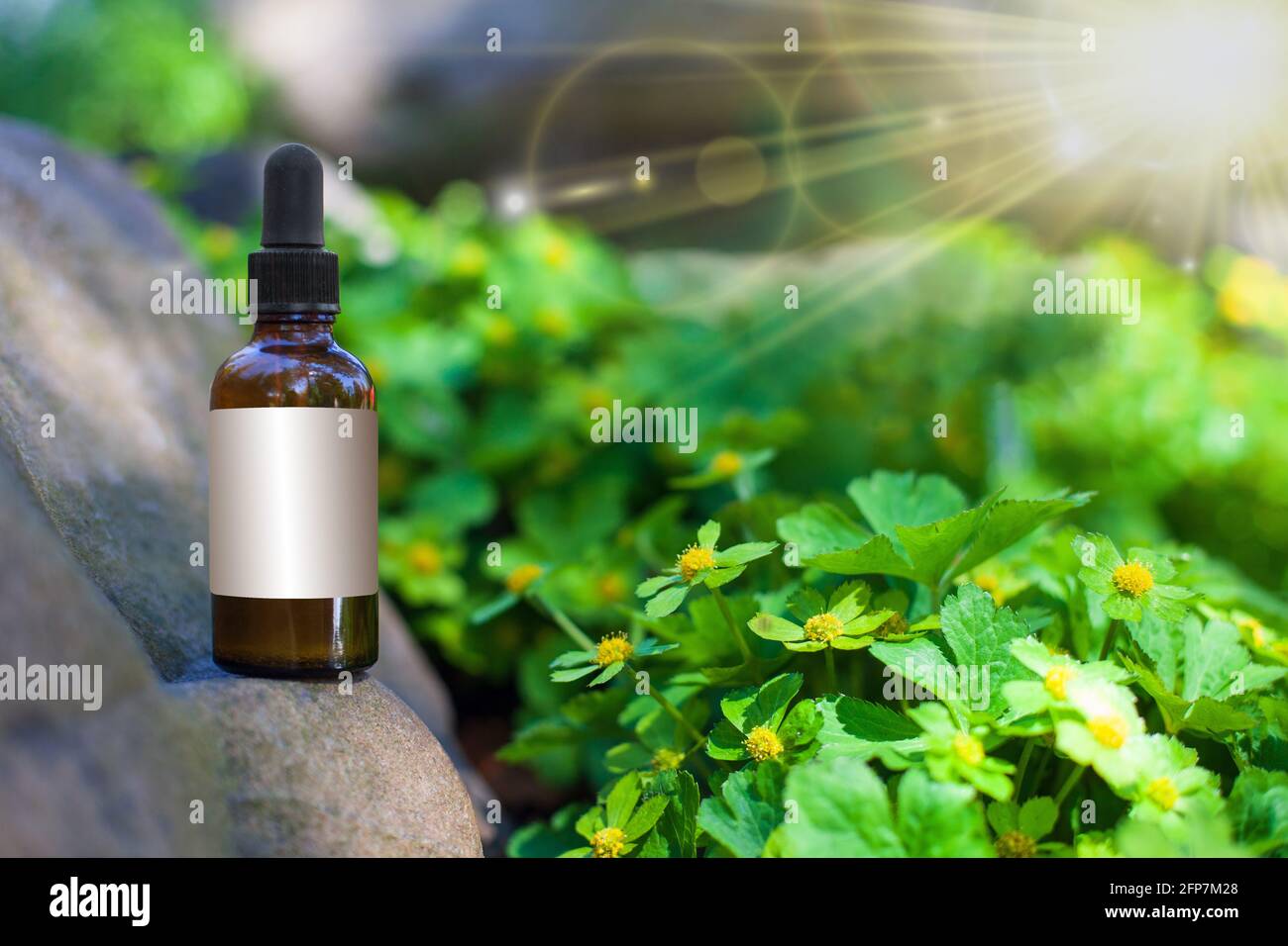 Natural Remedies Aromatherapy bottle and empty label. MOCKUP Stock