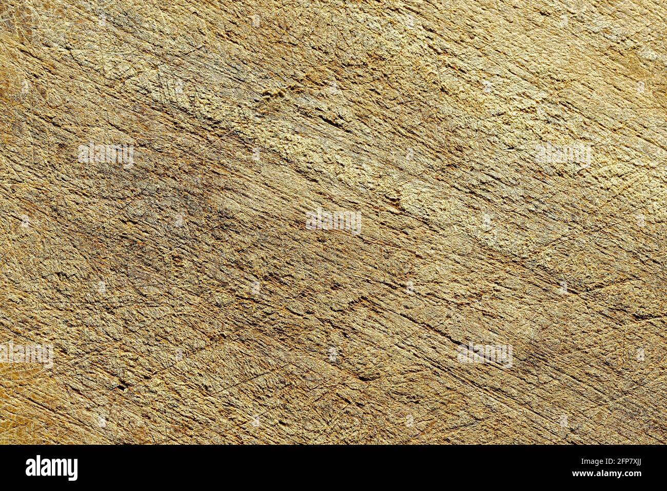 Graphic elements photographed in the studio with natural light well for background Stock Photo