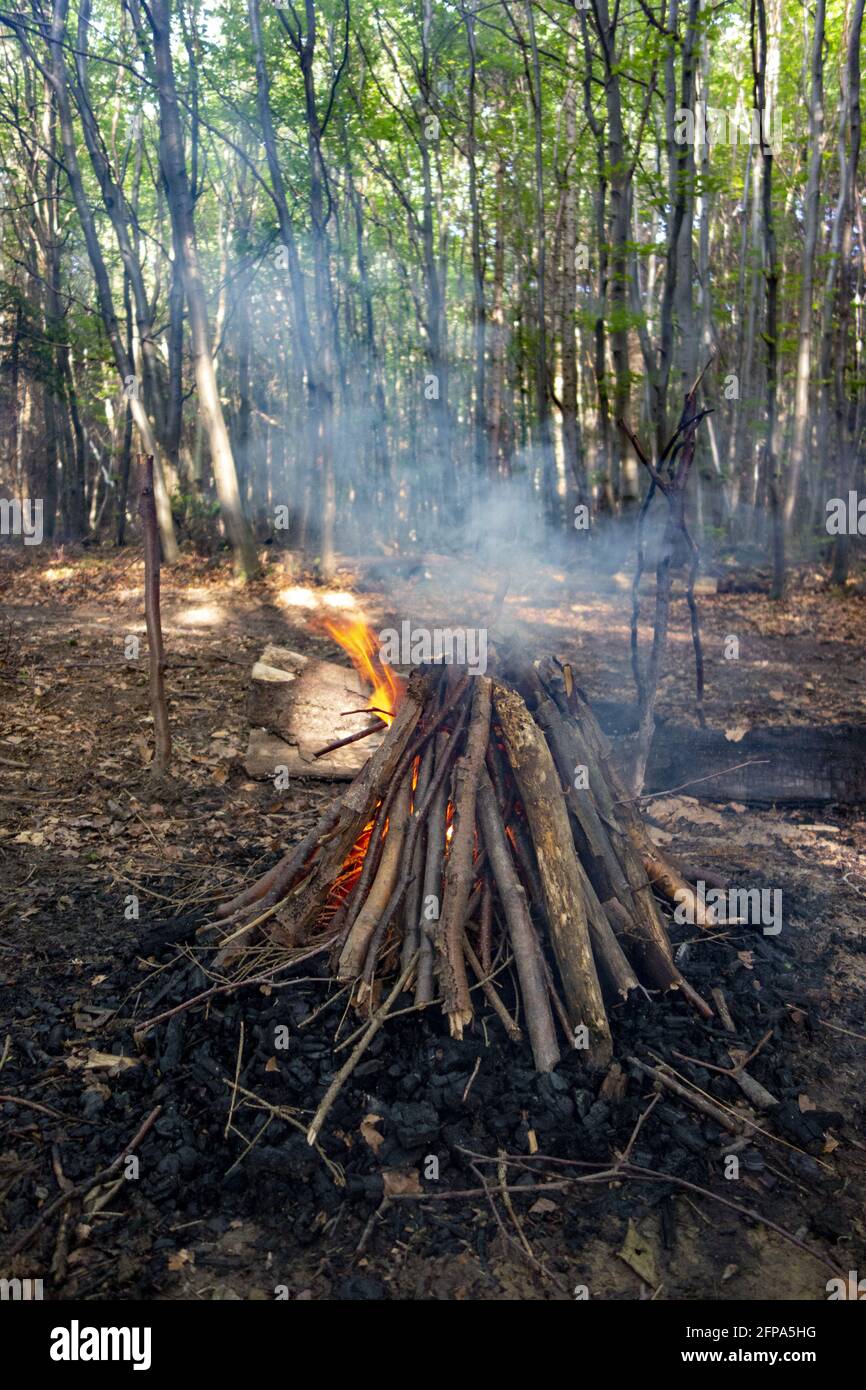 Vertical shot of bonfire in the forest Stock Photo - Alamy