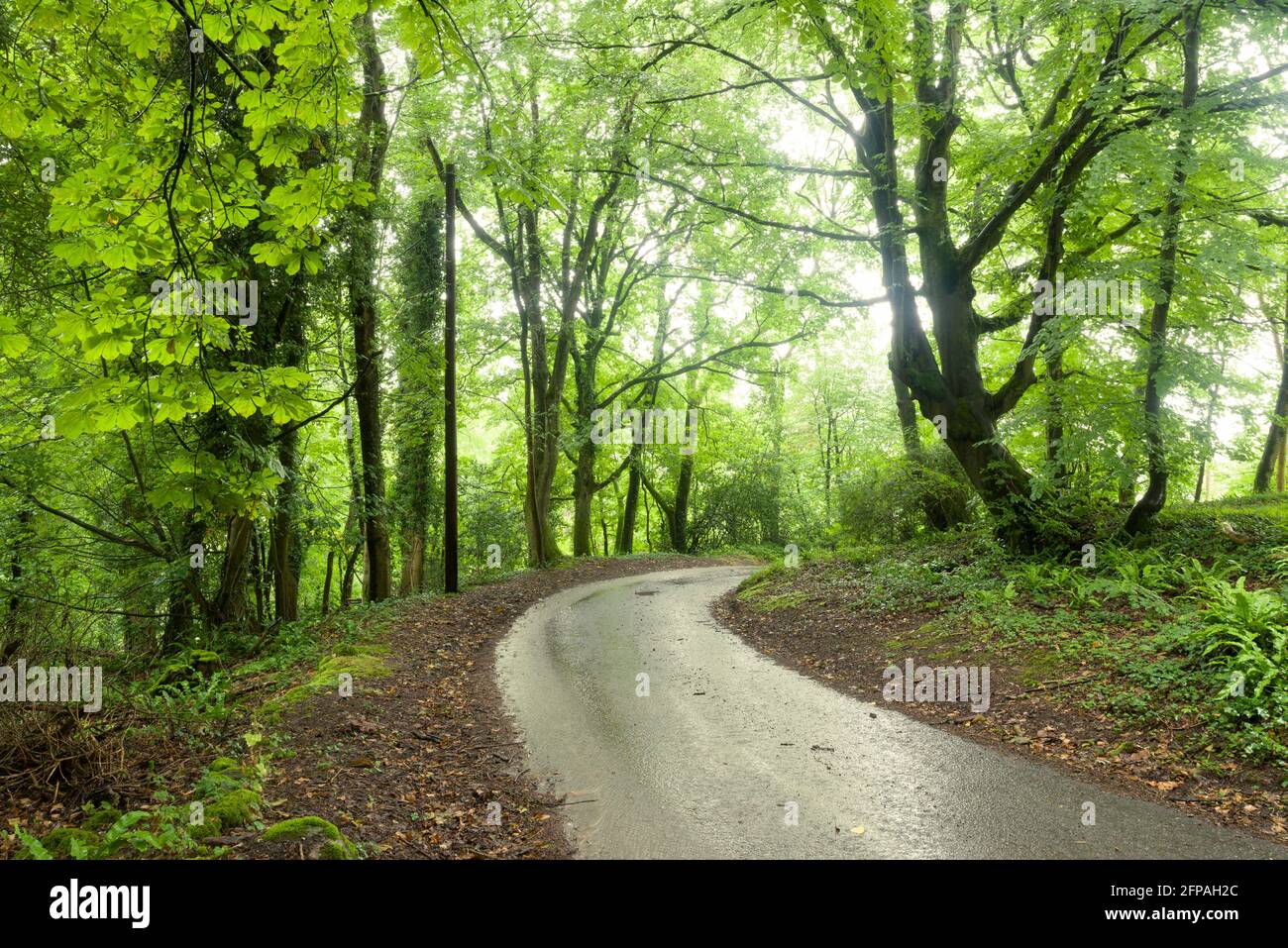 Burrington north somerset england hires stock photography and images