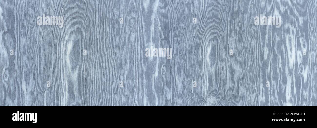 Intensely grained blue-gray wood in panoramic close-up Stock Photo