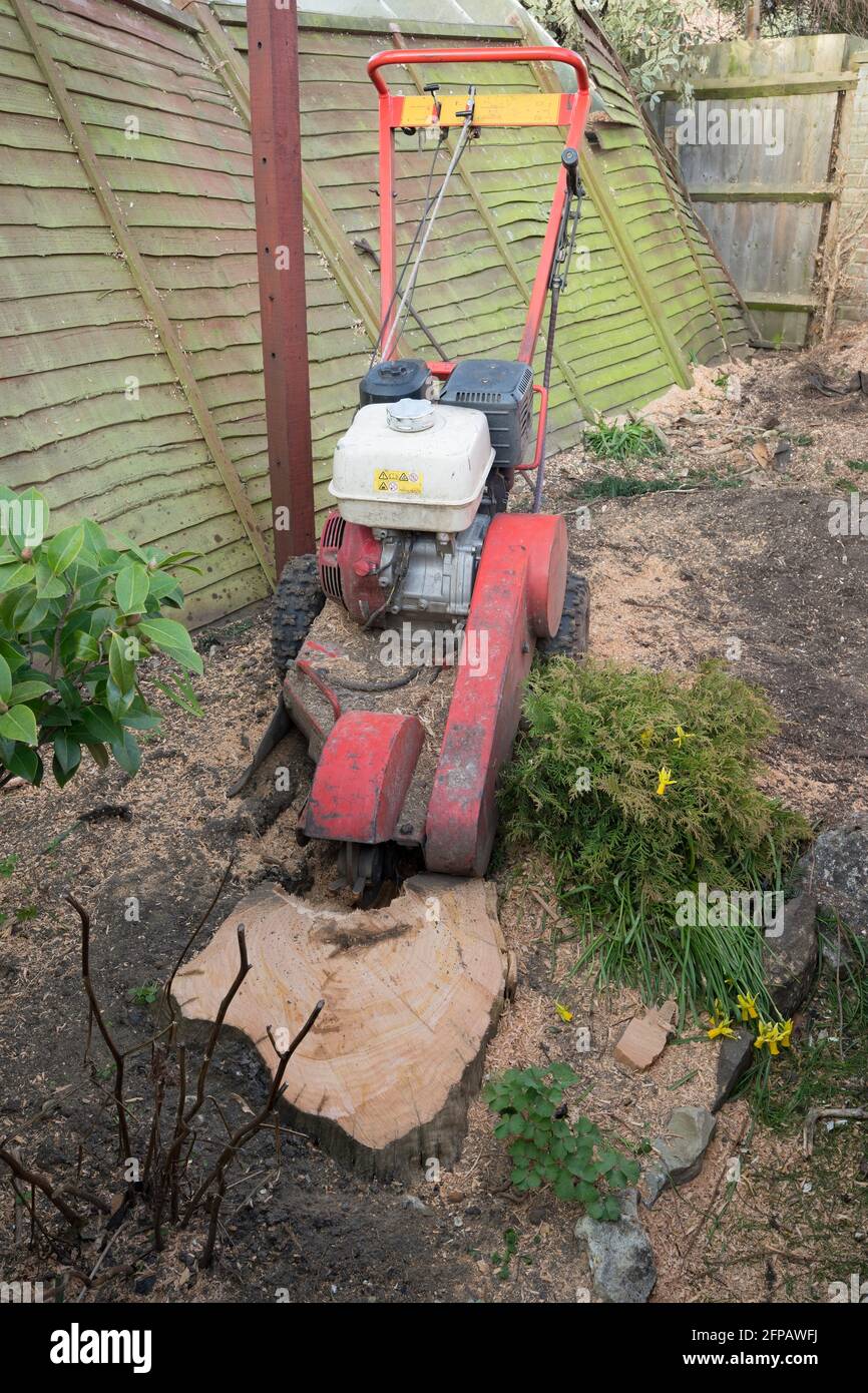 Stump Grinder High Resolution Stock Photography And Images Alamy