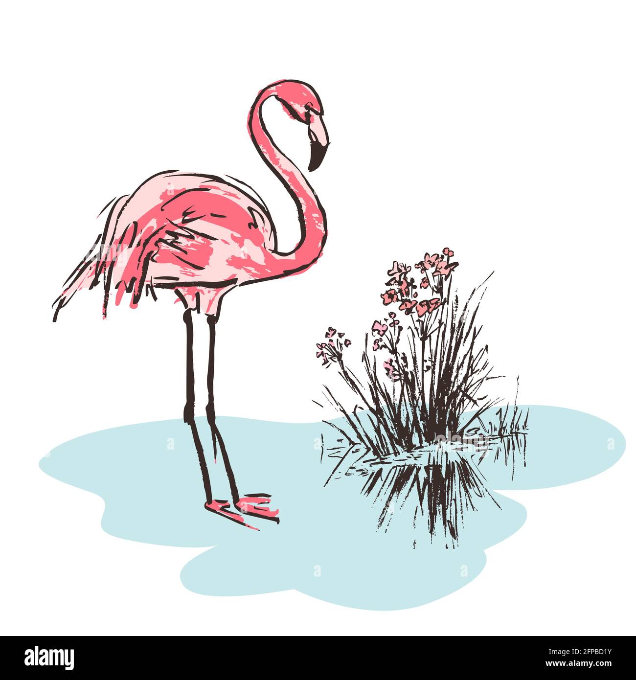 Sketch of pink flamingo bird. Bright cartoon tropical bird flamingo  isolated on white background. Trendy summer design. Vector illustration  Stock Vector Image & Art - Alamy