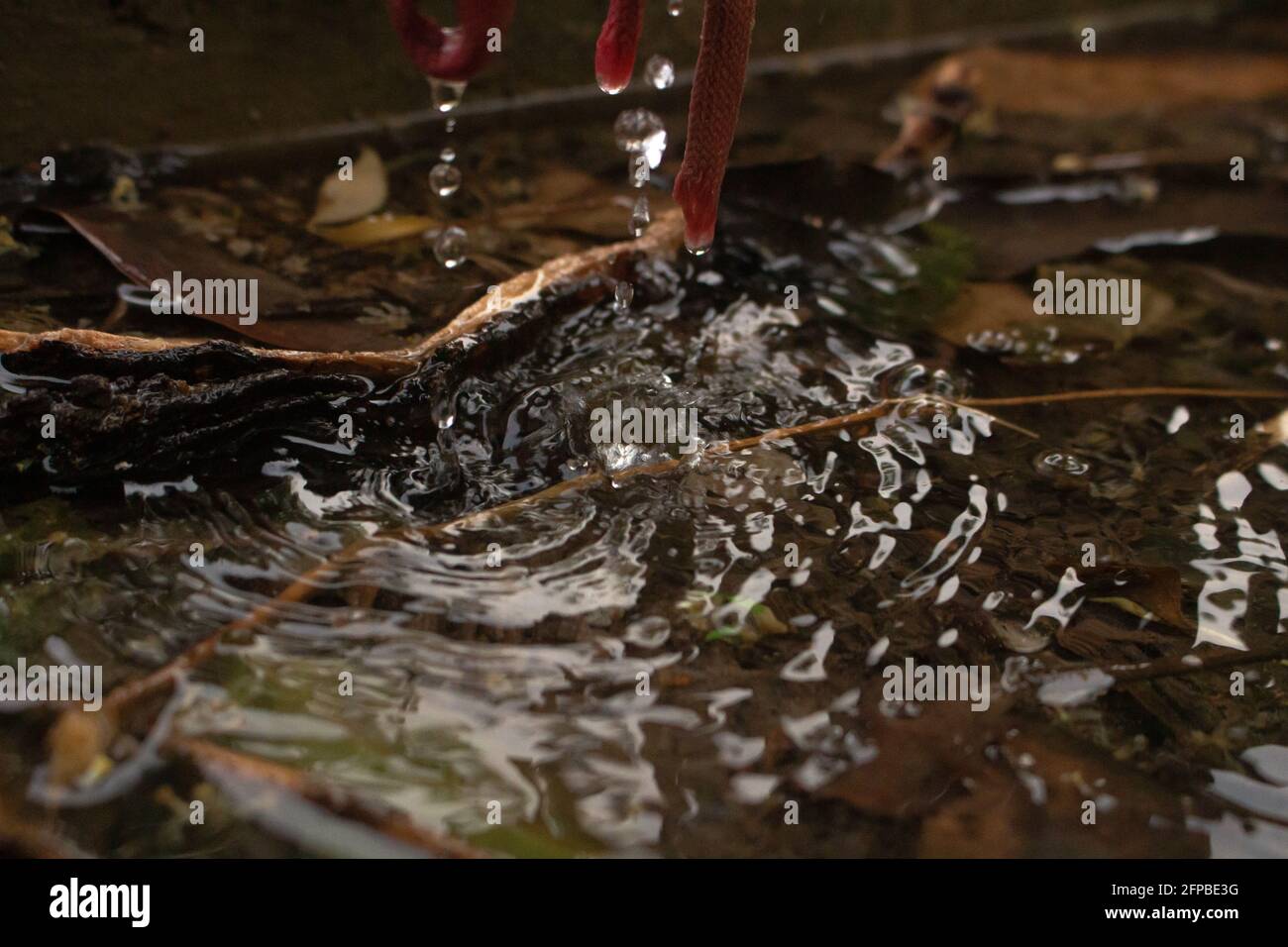 A water splash in a dirty pond Stock Photo - Alamy