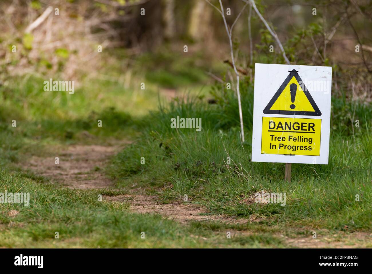 A sign in the countryside warning people of dangerous tree felling in the area Stock Photo