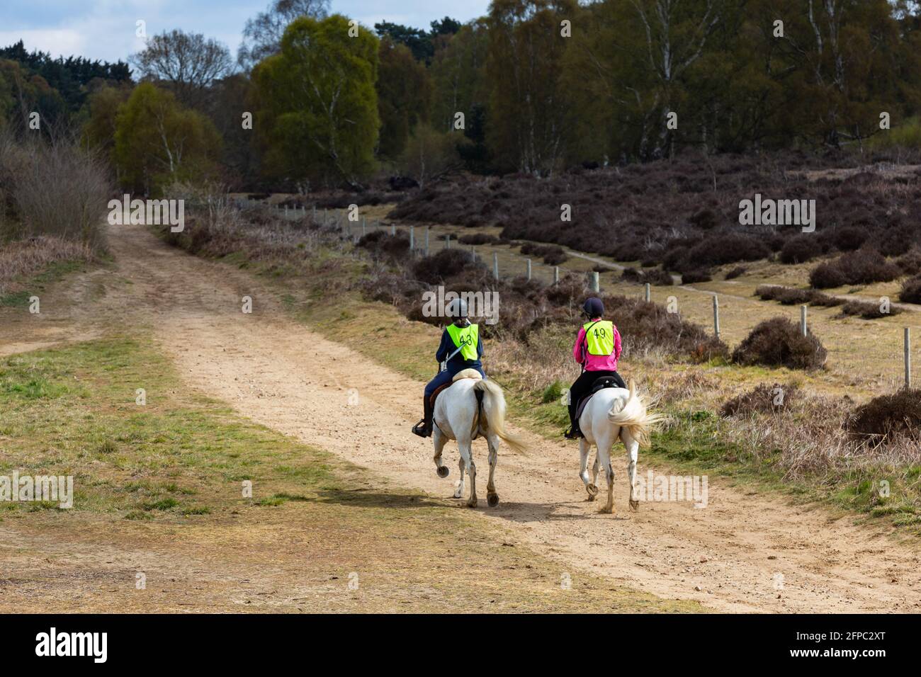 Woodbridge, Suffolk, UK May 01 2021: A cross country horse riding time trail event Stock Photo