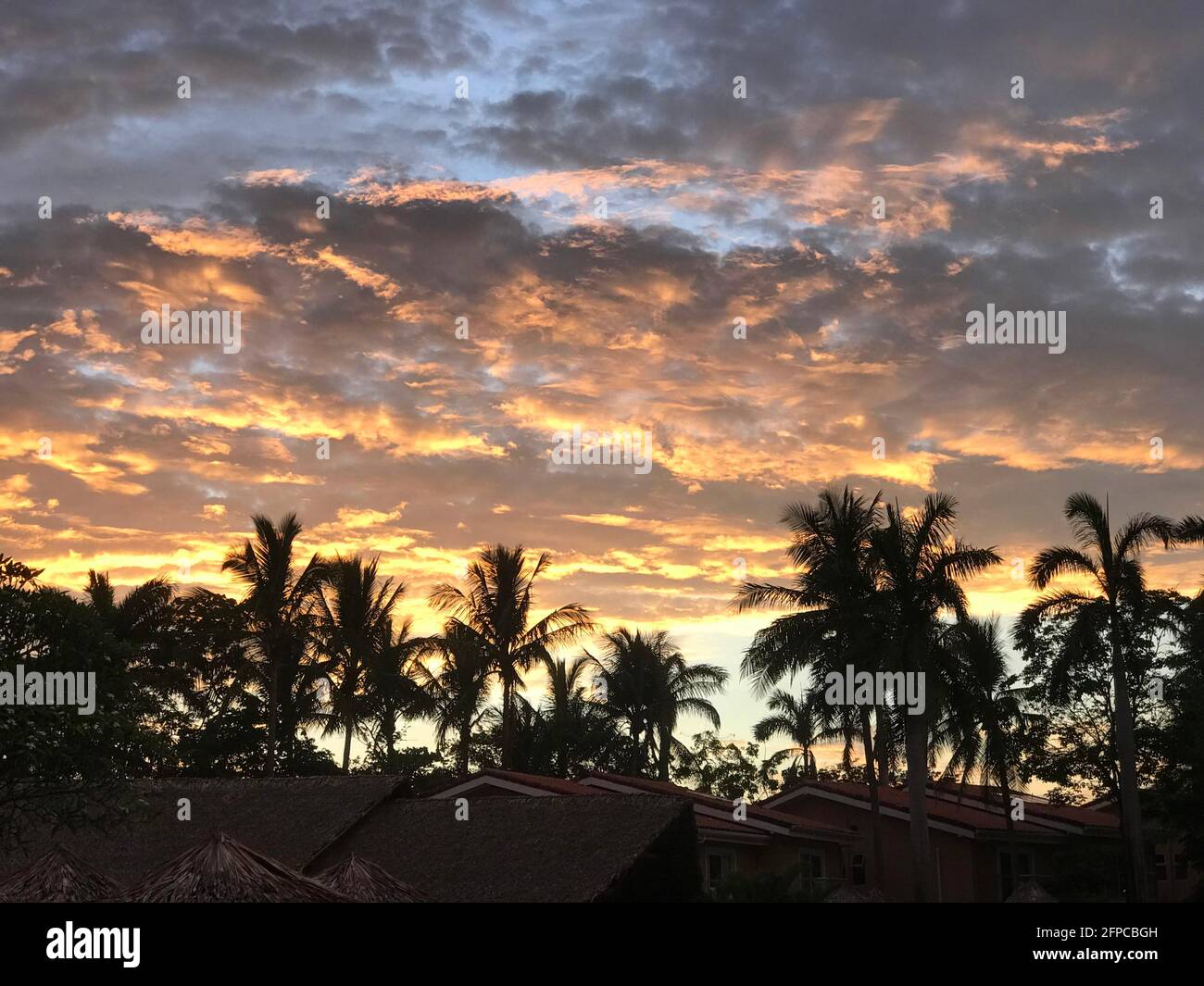 Tropical palms and colorful sunset in Costa Rica Stock Photo