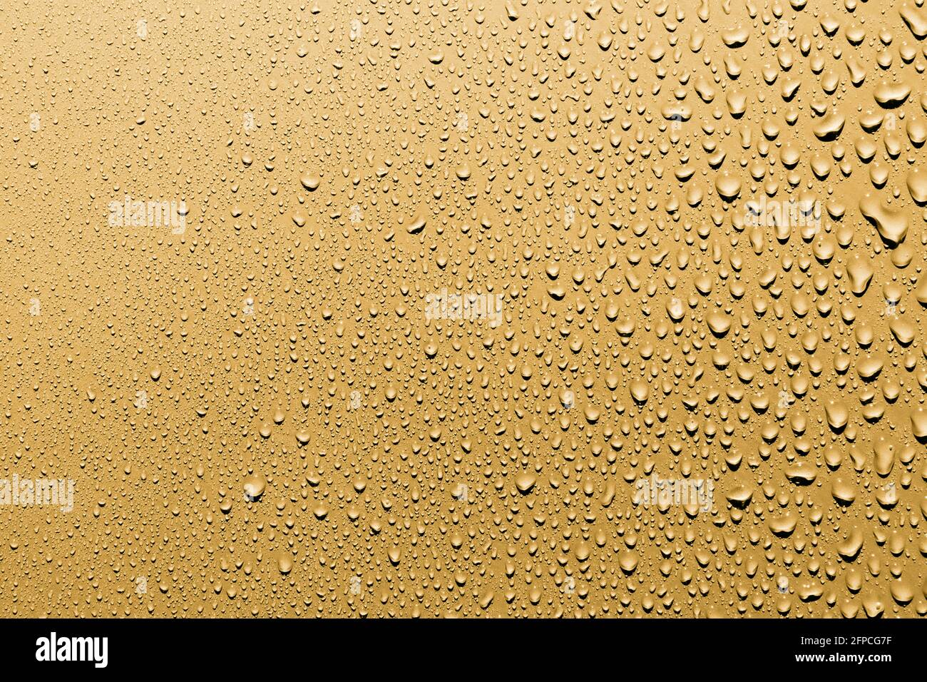 Close up of water drops on smooth surface, gold background Stock Photo ...