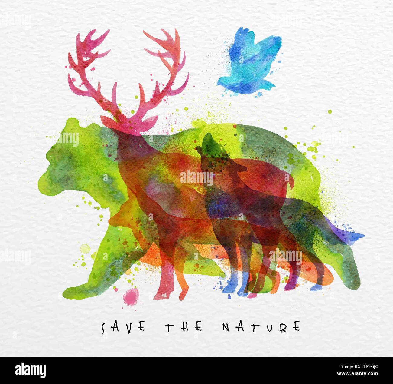 Color animals ,bear, deer, wolf, fox, bird, drawing overprint on watercolor paper background lettering save the nature Stock Vector Image & Art - Alamy Color animals ,bear, deer, wolf, fox, bird, drawing overprint on watercolor paper background lettering save the nature Stock Vector Image & Art - Alamy