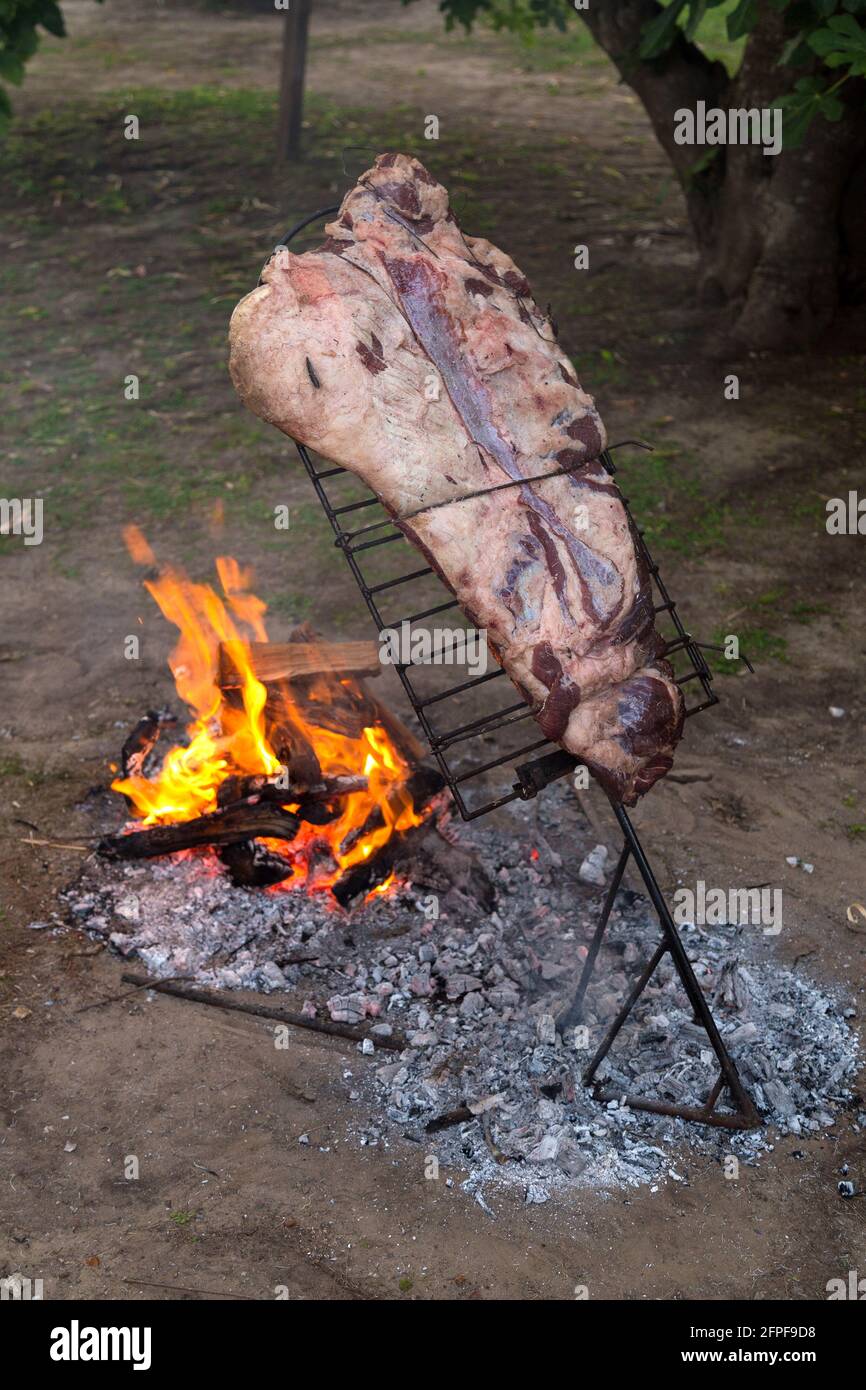 Meat on the spit or asado in the stake. Bbq. Grill on the coals.  Traditional Argentine barbecue Stock Photo - Alamy