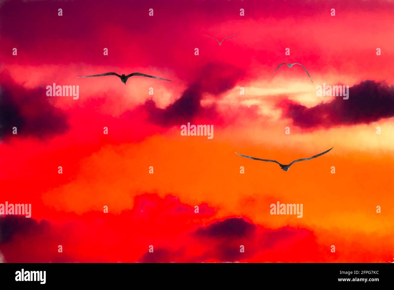 A Flock Of Birds Are Flying Into The Vibrant Cloud Filled Sunset Sky In ...